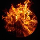 함양천자봉관광농원숲속애 이미지