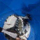 남양주 락 실내바다 낚시터 | ​ [화성] 아이와 방학 가볼 만한 곳! 손맛 대박 '화성락실내바다낚시터' 리얼 후기