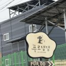 풍경운동장 화장실 | 청주 강아지운동장 푸르댕댕 후기 / 애견카페 반려견 라운지 애견동반카페 강아지운동장 애견운동장