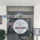 금호복돼지 이미지