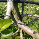 하늘녘싱싱팜 이미지