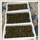 생극농장 이미지