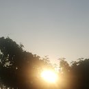溫故而知新(온고이지 네이버블로그