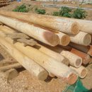 비금도한옥 이미지