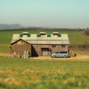 강정목장 이미지