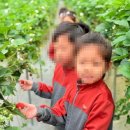 꽃향기어린이집 이미지