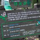 제주절물자연휴양림 이미지