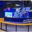 천마아이태권도장 이미지