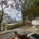 행구동 행정복지센터 | 원주 유기농야채 태장동 한마당 삼겹살 &amp;숲속카페 행구동 림카페