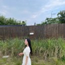 엘노어(ELNORE) 이미지