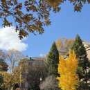 (주)경쓰 | [11월] 진짜 아무것도 하기 싫고 착하게 말하기 싫다