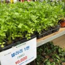 한국농약사 이미지