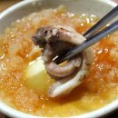 참곰장어 이미지