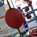 중화 권투체육관 이미지