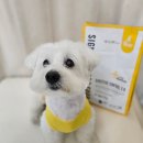 ㈜마이펫 | 마이펫닥터 다이제스티브 컨트롤 2.0 리뷰