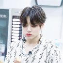 냥냥댕댕 이미지