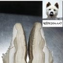 삼호세탁 이미지