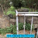 명월팜 이미지