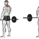 베르데미 이미지