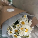 보태니컬 플랜(Botanical Plan) 이미지