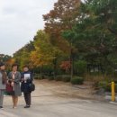 창덕여고운동장 이미지