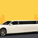 VIP 리무진투어 이미지