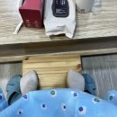 gm산후조리원 이미지