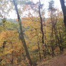 장성호 수변트레킹길 주차장 이미지