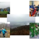 금호초등학교 앞 이미지