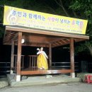 금대마을 Daum카페