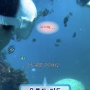 저동 내수전 해수욕장 | 울릉도 첫 물놀이 스노쿨링 스팟은 저동 내수전몽돌해변 샤워실 화장실 등 자세한 후기