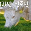 종합가로판매점１１３호패션TV앞 이미지