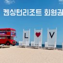 돈사미 이미지