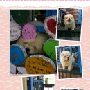 해미르 이미지