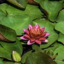 상리공원 이미지