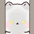 로이뷰티 이미지