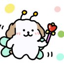지축오투동물의료센터 네이버블로그