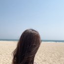 코코빈 이미지
