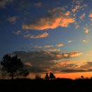 아라공원 이미지