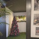 이글스 | 오목교역 베이글 브런치 맛집 웨인스베이글스 방문 후기