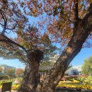 강원감영관찰사박물관 | [강원 원주] 강원 감영 - 조선 500년 강원도의 중심지