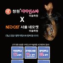 디자인 온 미술학원 이미지