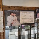 아기랑 전주 여행 전주 한옥마을 착한사진관