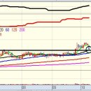 일성트레이딩 이미지