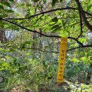 용전주유소 이미지