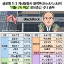 글로벌 최대 자산운용사 블랙록이 지분 5% 이상 보유중인 국내 종목 이미지