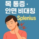 목 통증과 안면 비대칭의 숨은 원인 👉 판상근(두판상근·경판상근) 해부학적 분석!! 이미지