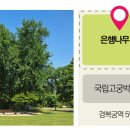 하늘샐리