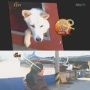 달바위농장 뉴스엔