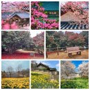 한산 F&P 이미지